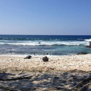 Meet your Posher, Jacob